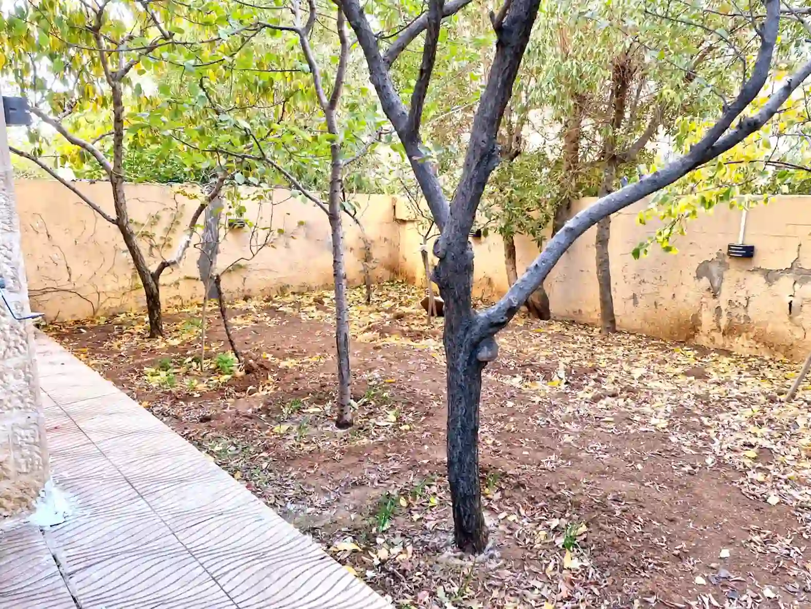 For rent Swefieh Apartment - Image 17