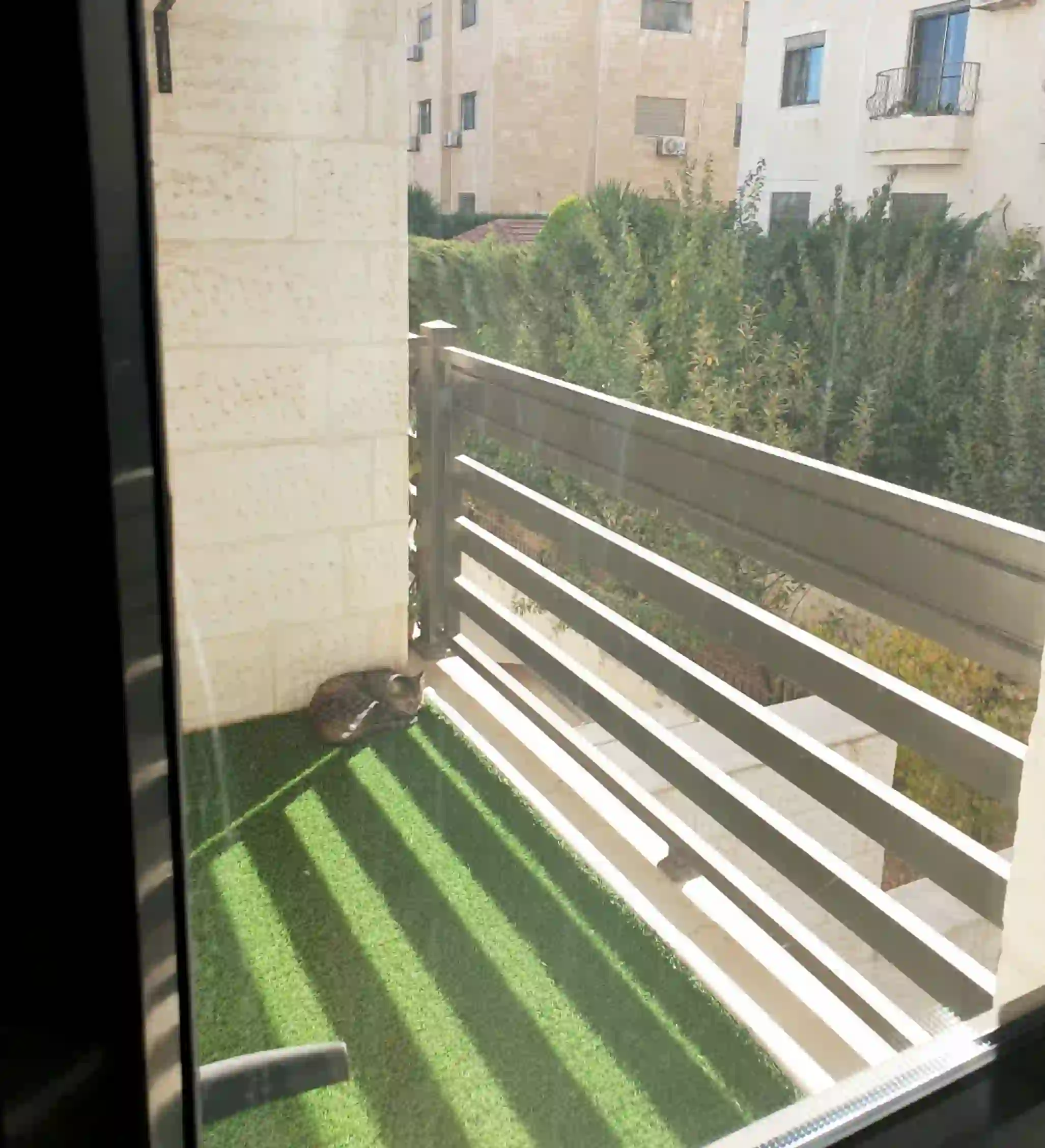 للايجار الرابيه شقة - Image 4