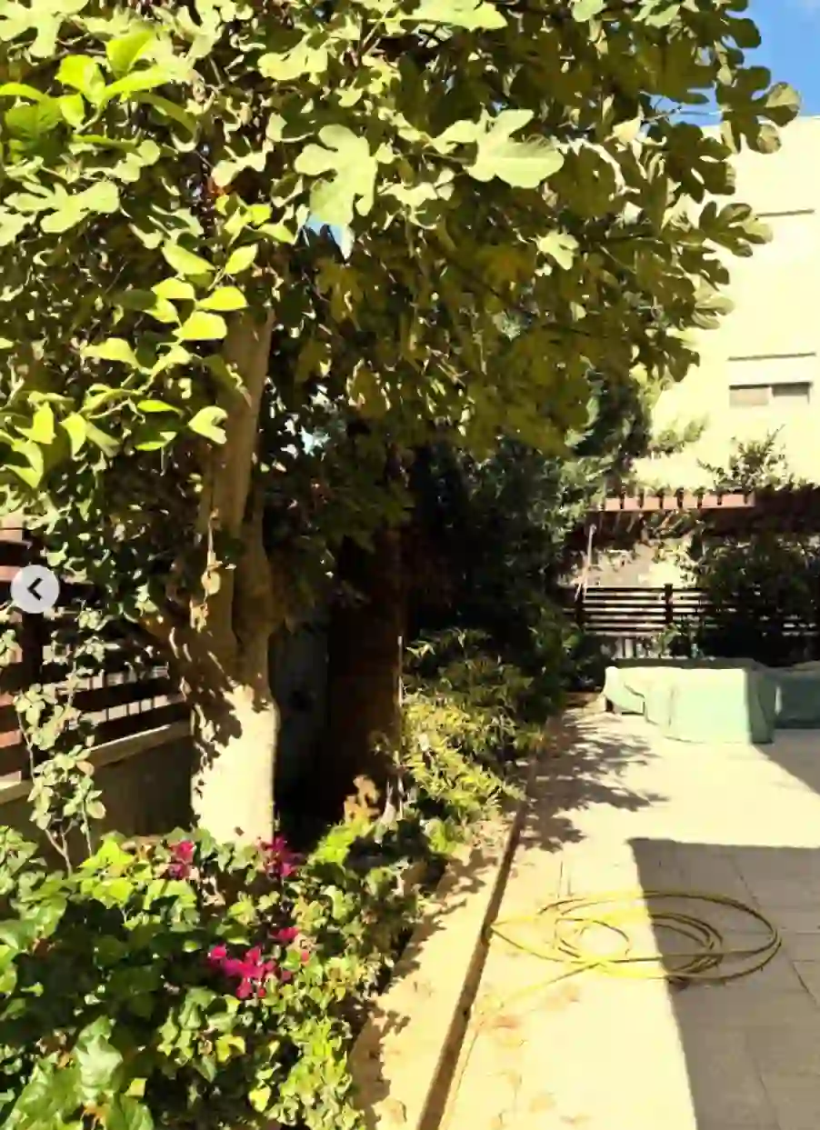 For rent Abdoun Apartment - Image 5