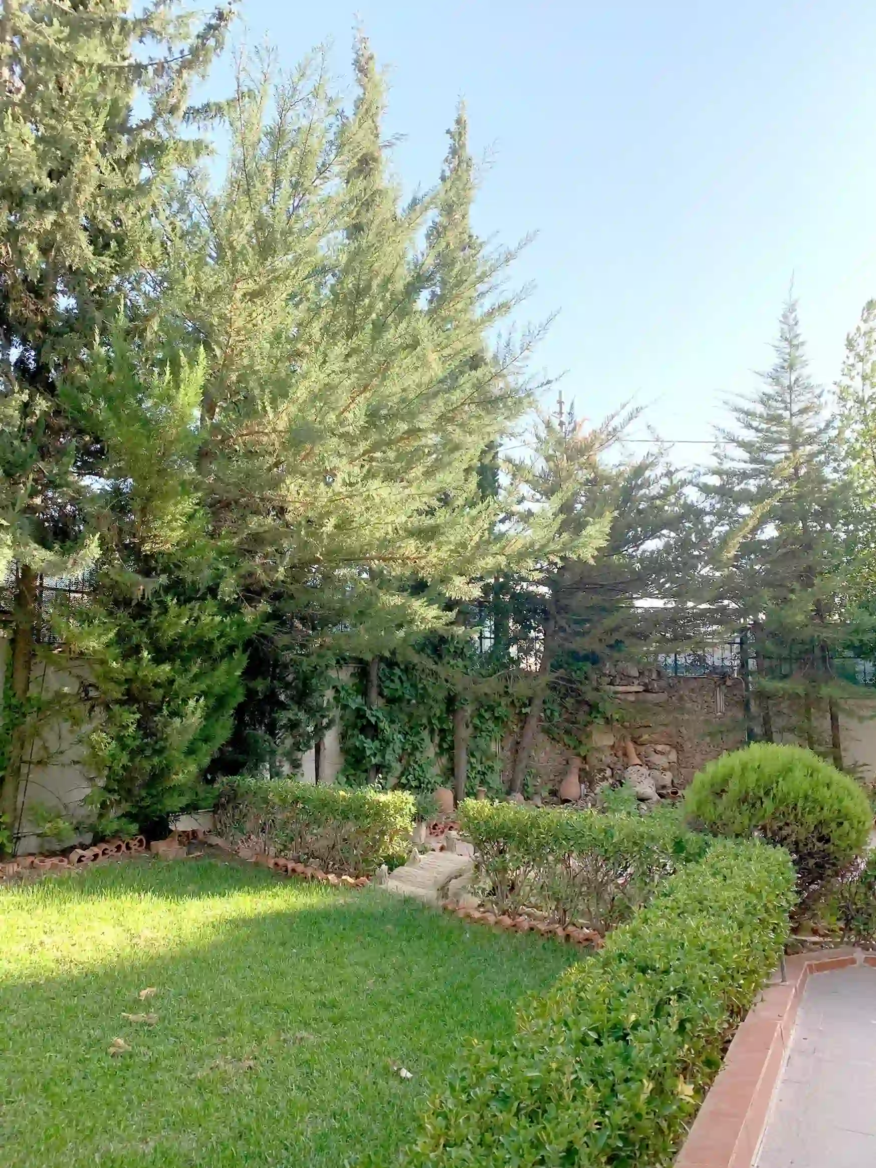 Amman Al Rabieh Furnished 6-Bedrooms 1000-sq m Villa For rent 2