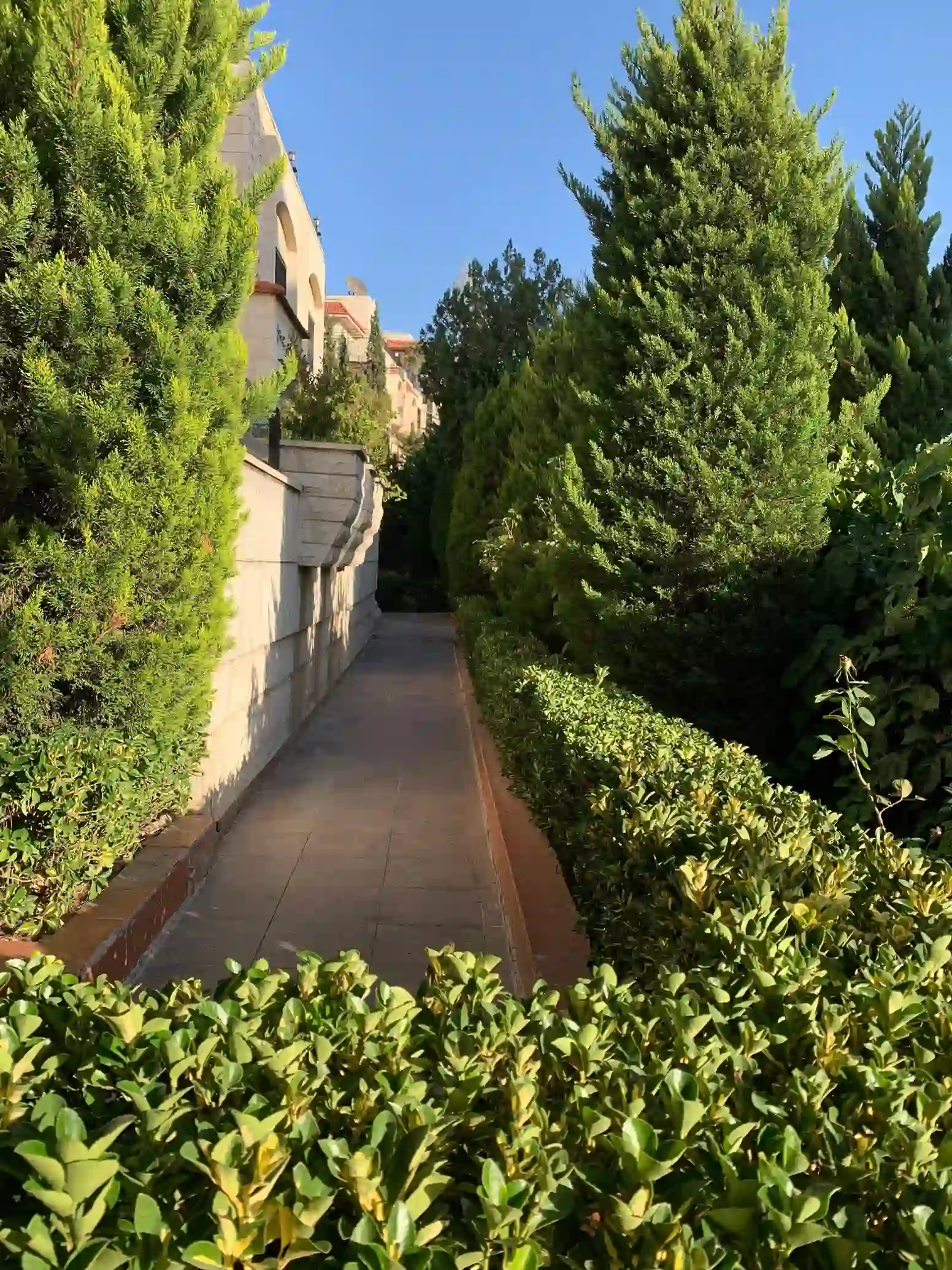 Amman Al Rabieh Furnished 6-Bedrooms 1000-sq m Villa For rent 3