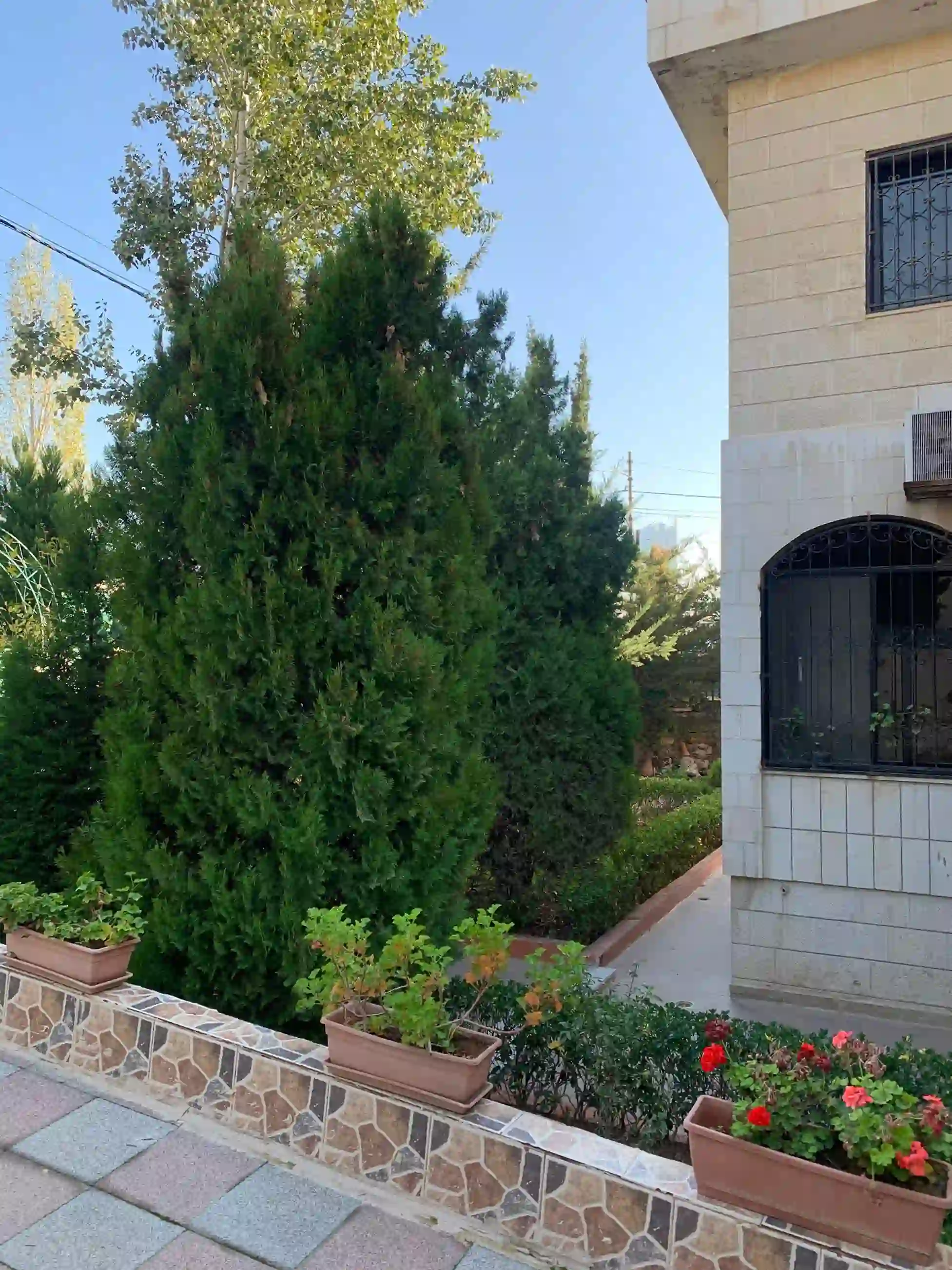 للايجار الرابيه فيلا - Image 4