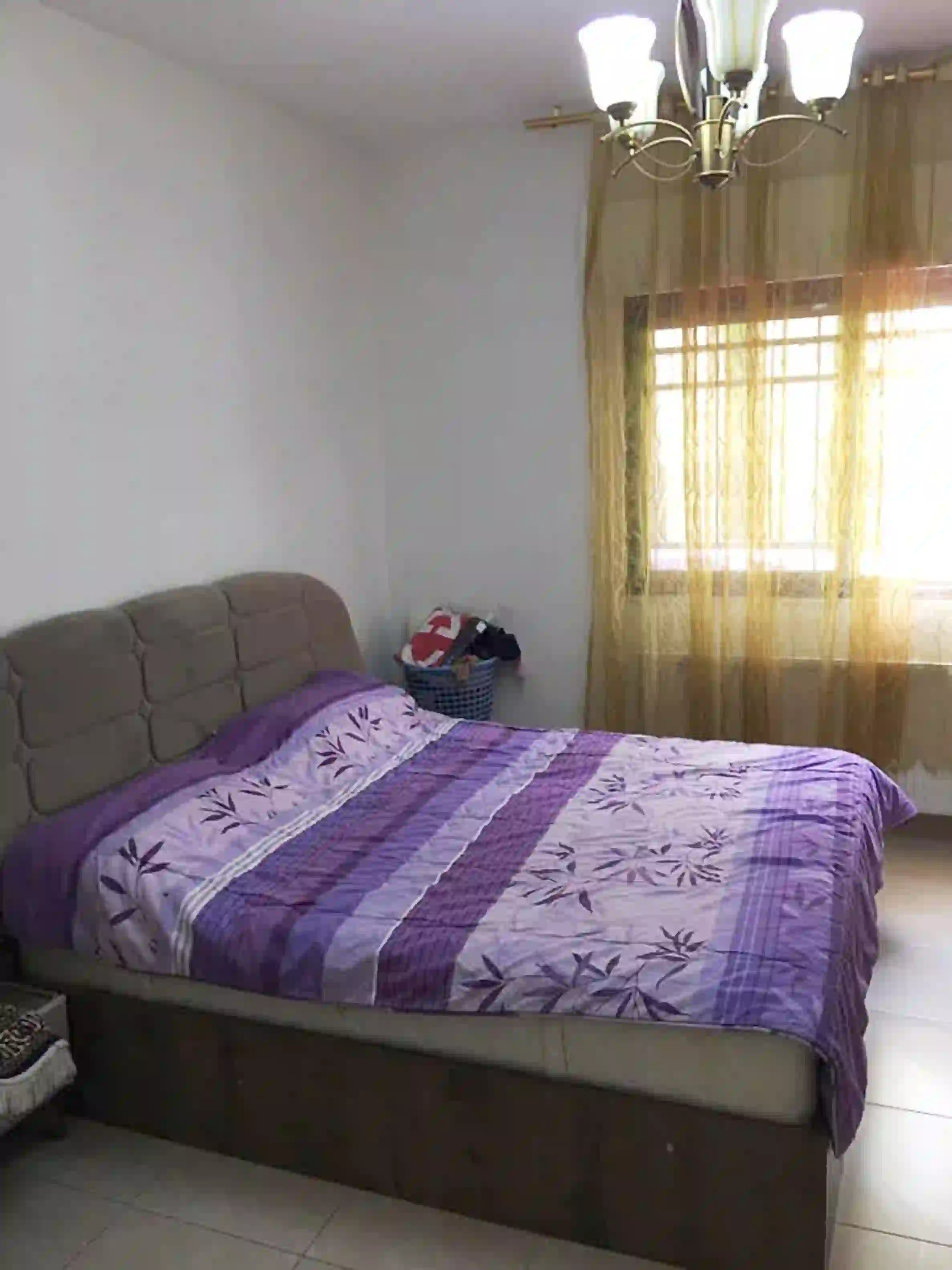 للايجار الرابيه شقة - Image 12